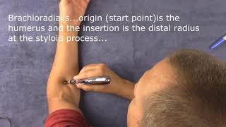 Meridian Pen Electric Acupuncture pen and how it works [upl. by Yks]