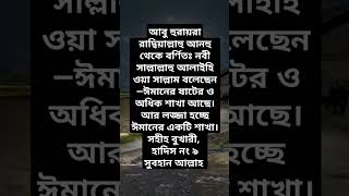 ঈমান youtubeshorts motivation banglaquatos inspirationalquotes motivationalquotes arabic [upl. by Oniuqa]