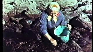 Pembrokeshire Pembs Dyfed 1958 Promotional Video made by Esso Refinery [upl. by Azpurua]