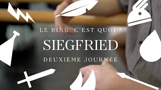 Le Ring cest quoi  Deuxième journée  Siegfried [upl. by Erdnua85]