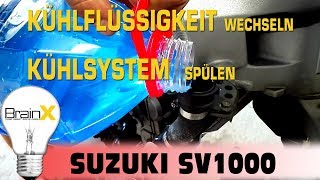 Kühlflüssigkeit wechseln und Kühlsystem spülen Motorrad  SUZUKI SV1000 [upl. by Ravilob]