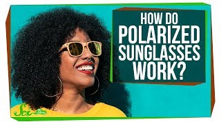 How Do Polarized Sunglasses Work [upl. by Favian]