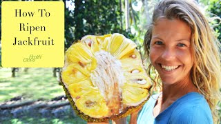 How To Speed Up Jackfruit Ripening [upl. by Anaib]