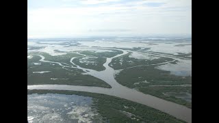 What is River Delta River DeltaHow delta forms [upl. by Rekab]