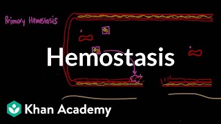 Hemostasis  Advanced hematologic system physiology  Health amp Medicine  Khan Academy [upl. by Artemed]