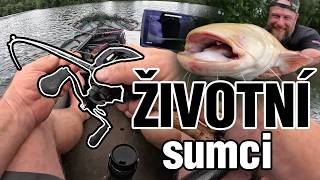 David si ulovil životní zážitek 😮  Hospodářský odlov sumců na pískovně🎣 [upl. by Qerat]