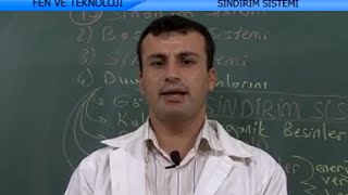 Vücudumuzdaki Sistemler  İlköğretim 7 Sınıf Fen ve Teknoloji [upl. by Severson]