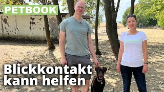 Aufmerksamkeitssignal mit Hunden trainieren  Dogschool  PETBOOK [upl. by Monahon]