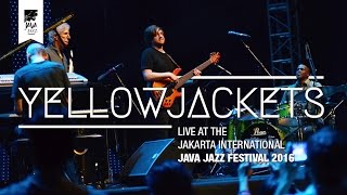 Yellowjackets Live at Java Jazz Festival 2016 [upl. by Purington]