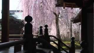 Kodaiji Zen Temple Kyoto Official Movie [upl. by Ennayram]