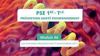 PSE Module A6  Les infections sexuellement transmissibles IST [upl. by Eilesor]