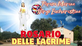 1112024  FORUM MARIAE VIRGO EUCHARISTIAE [upl. by Eiffub861]