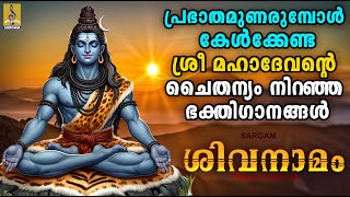 പ്രഭാതമുണരുമ്പോൾ കേൾക്കേണ്ട ശ്രീ മഹാദേവൻ്റെ ചൈതന്യം നിറഞ്ഞ ഭക്തിഗാനങ്ങൾ  Shiva Namam shiva [upl. by Asseneg]