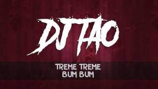 DJ TAO ✖ TREME TREME ✖ BUM BUM [upl. by Hayley]