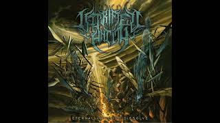 Vitrified Entity  Eternal Vitreous Dissolve Full Album [upl. by Annahsirhc423]