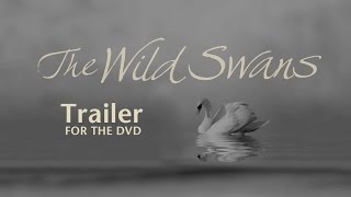 The Wild Swans  trailer for the DVD [upl. by Kyriako531]