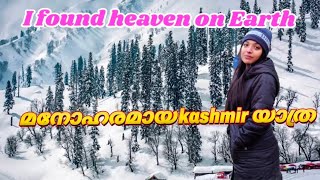 MY KASHMIR TRIP  HEAVEN ON EARTH [upl. by Suolkcin28]