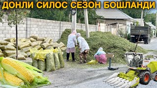 2024 Янги Донли Силос Сезон БошландиУзб бўйлаб Доставка 2024 силос молбокиш [upl. by Anemolif]