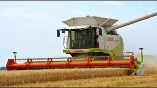 Cutting Wheat  ButhFranzen landbouw  Lexion 600 TerraTrac [upl. by Euqram108]