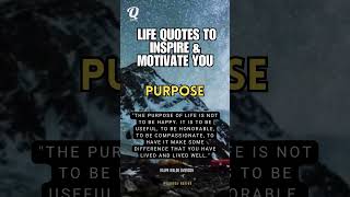 PURPOSE   LIFE QUOTES TO INSPIRE AND MOTIVATE YOU [upl. by Aikemehs298]