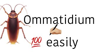 Cockroach ommatidium easy drawingbiodrawingseasydrawingcockroacheasy to draw [upl. by Yanaton]