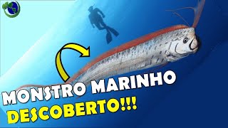 VOCÃŠS CONHECEM O REGALECO OU PEIXEREMO DESCUBRA O MONSTRO MARINHO DAS PROFUNDEZAS [upl. by Care]