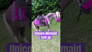 Unicorn Mermaid Tack Up minihorse tackup [upl. by Vogel441]