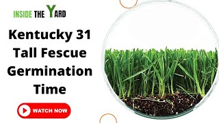 All You Need To Know About Kentucky 31 Tall Fescue Germination Time [upl. by Hakeem]