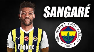 Ibrahim Sangare 🟡🔵 Welcome to Fenerbahçe ● Skills  2024  Amazing Skills  Assists amp Goals  HD [upl. by Yelyak]