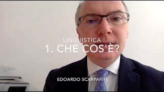 Linguistica 01 Che cosè [upl. by Beitnes611]