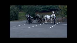 Vintage Carriage at Westmount CC [upl. by Toffic]