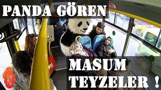 Panda gören masum teyzeler [upl. by Heimlich]