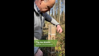 Tag des Waldes  Wälder amp Innovation [upl. by Aimek]