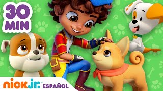 Paw Patrol Blaze Bubble Guppies y más  Las Aventuras de Cachorros  Nick Jr en Español [upl. by Osicnarf]