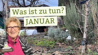 Deine Aufgabenliste für den Gartenmonat Januar [upl. by Harneen725]