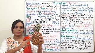 Class 108  Proteolytic Enzyme Part 02  Bromelain Sources Preparation Chemistry Test amp Use [upl. by Anomahs]