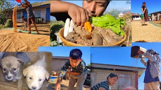 Rice winnowing and drying  eating own grown perilla seeds with smoked meat  kents vlog [upl. by Atyekram]