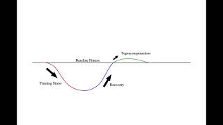 General Adaptation Syndrome GAS [upl. by Cornell]