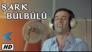 Şark Bülbülü  Türk Filmi Kemal Sunal [upl. by Nnayllas]