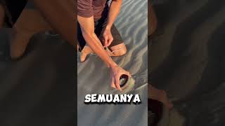 Bagaimana Memancing Magnet Di Padang Pasir crafterduck TT shortvideos [upl. by Salkcin]