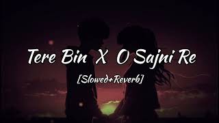 Tere Bin X Sajni Re  Atif Aslam  Arijit Singh  2024 song [upl. by Hudis]