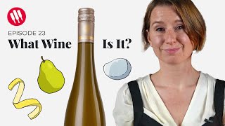 Learn by Tasting ep 23 Wine Folly [upl. by Llennyl72]