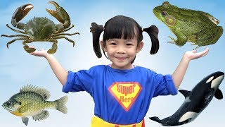 Trò Chơi Đi Săn Và Học Tên Các Con Vật ❤ AnAn ToysReview TV ❤ [upl. by Maurilla]