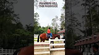 fraserhill paddock Audri4everwithyou [upl. by Irb]