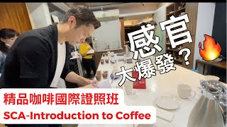 SCA Coffee1  精品咖啡證照上：咖啡小白初體驗 我們兩週後能拿到國際證照嗎？感官大爆發 咖啡師是光鮮職業嗎？ [upl. by Yared]