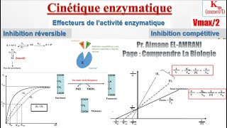 Séance 11  Effecteurs de l’activité enzymatique  Inhibition compétitive [upl. by Sinylg311]