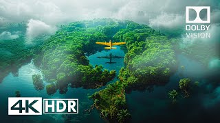 Your Eyes Will Surprise Best 4K HDR Dolby Vision 4K Video [upl. by Annoel606]