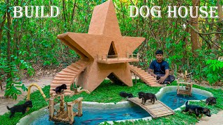 Save Orphaned Puppies Raise and Build a beautiful starshaped dog house [upl. by Latsyrhk]