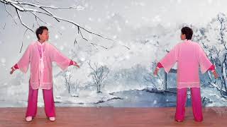 Health Qigong  Ba duan Jin  Eight Pieces of Brocade by Li Hui Faye Yip 1080p [upl. by Susan26]