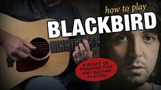 How to Play Blackbird on Guitar  Easy Acoustic Lesson [upl. by Kellyann]